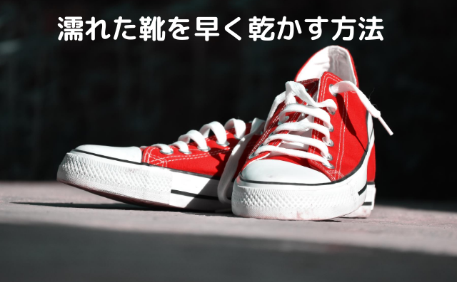 濡れた靴を早く乾かす方法 新聞紙以外でカラッと乾いて翌日も履ける Sachiチャンネル