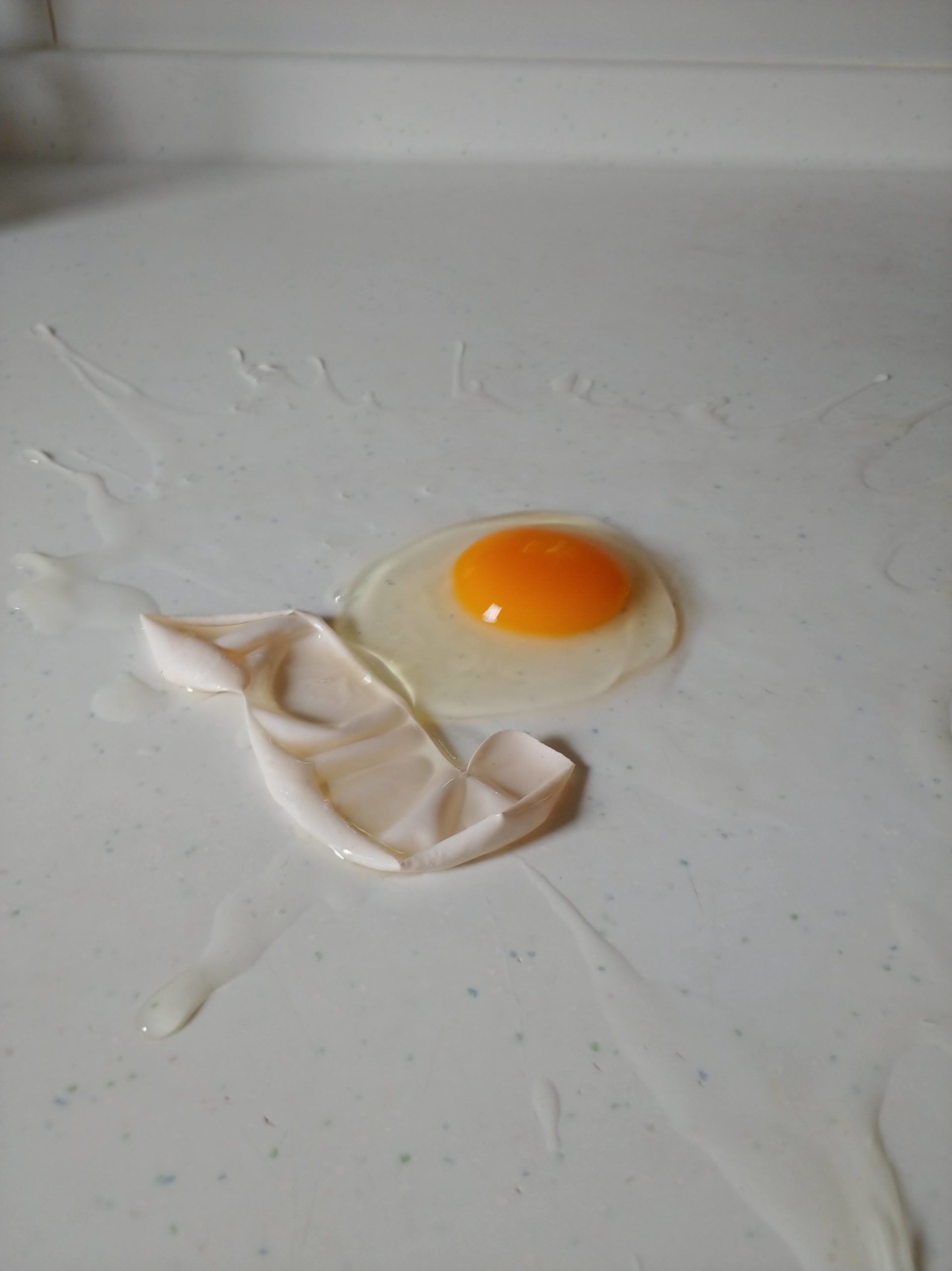 割れた卵