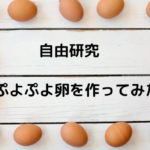 自由研究　ぷよぷよ卵